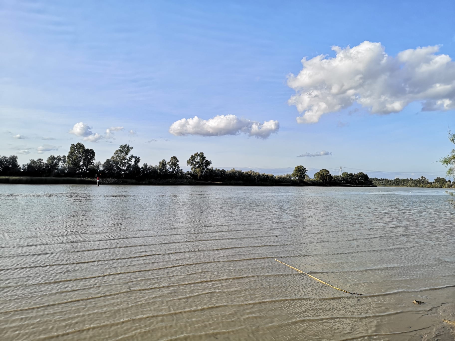 Estuario del Guadalquivir, en una imagen reciente. Estuario del Guadalquivir, en una imagen reciente.