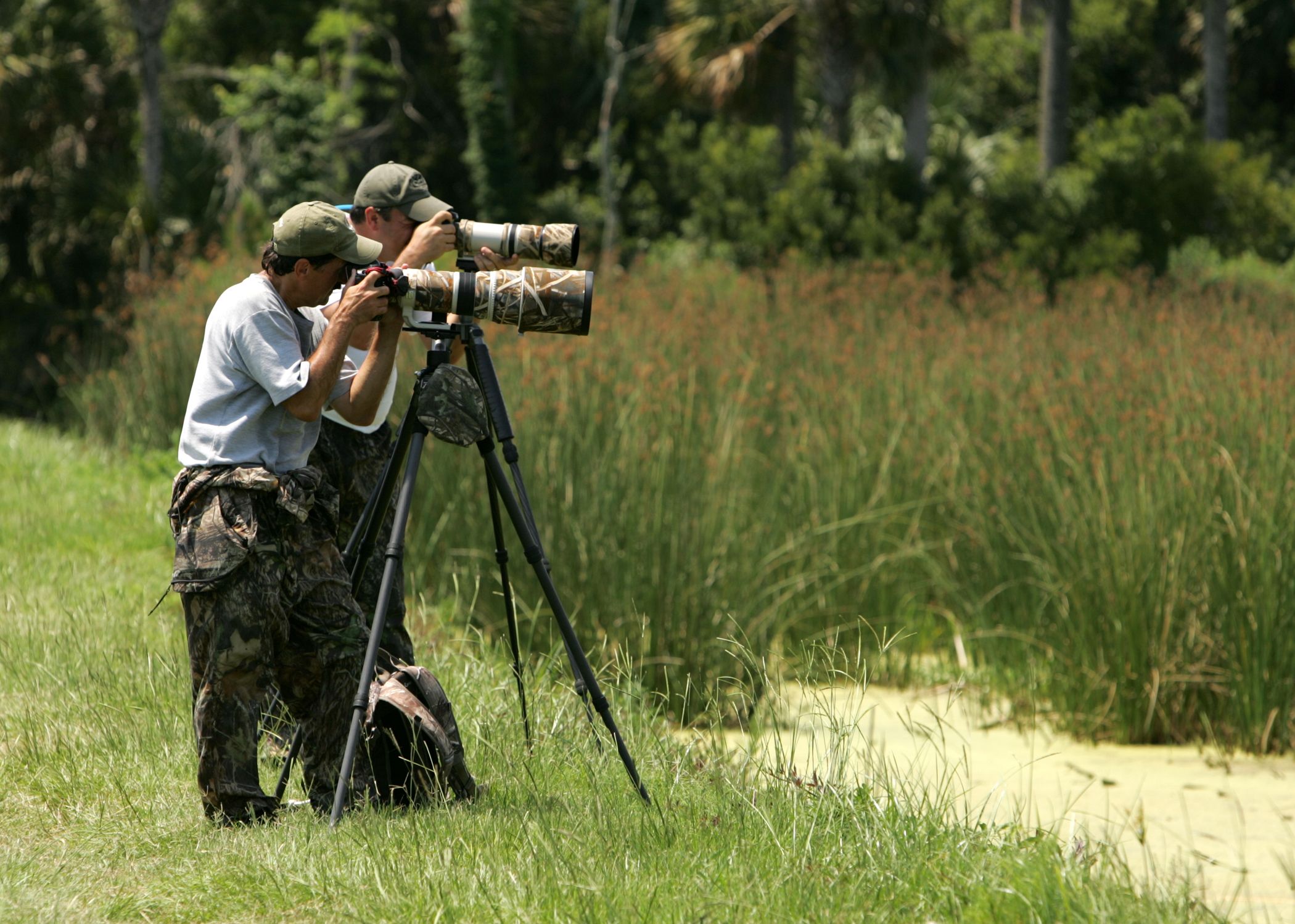 Fotógrafos de naturaleza, en una imagen de archivo. 