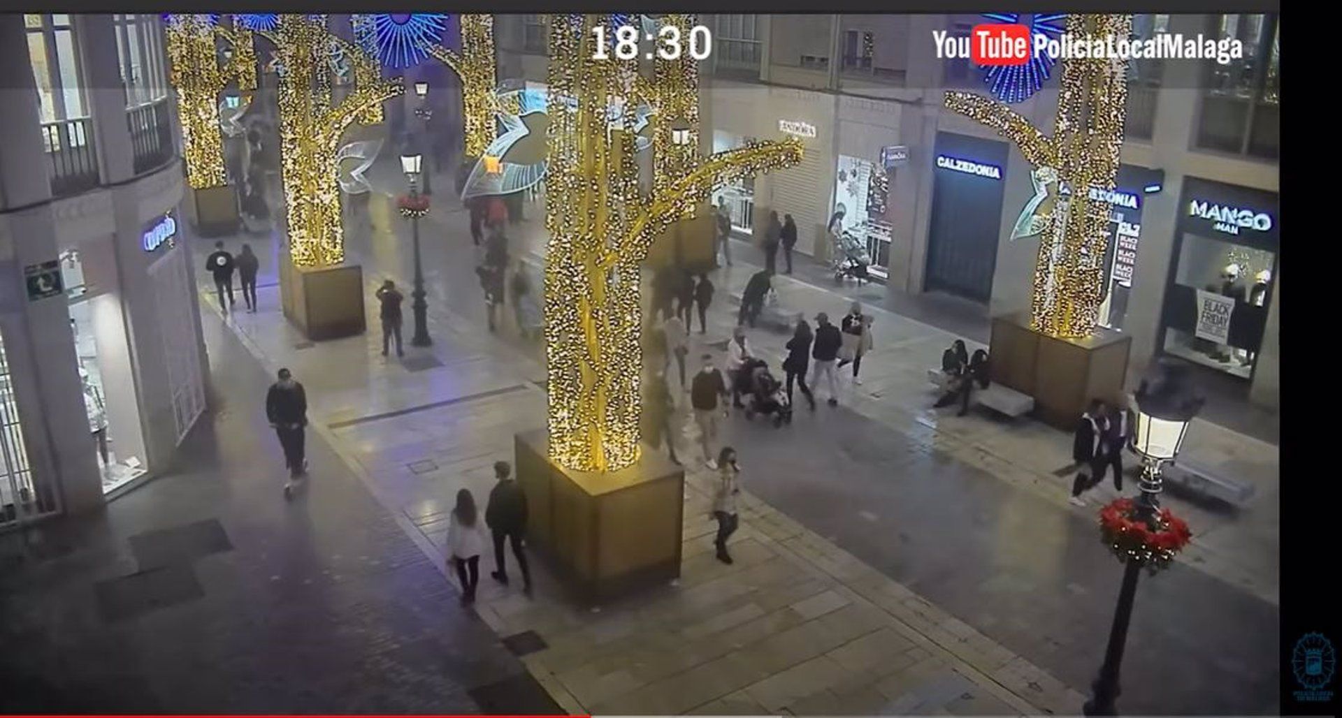 Imágenes de la calle Larios de Málaga a las 18:30 horas del pasado 27 de noviembre, cuando ya estaba encendido el alumbrado navideño de 2020. Autor: Policía de Málaga