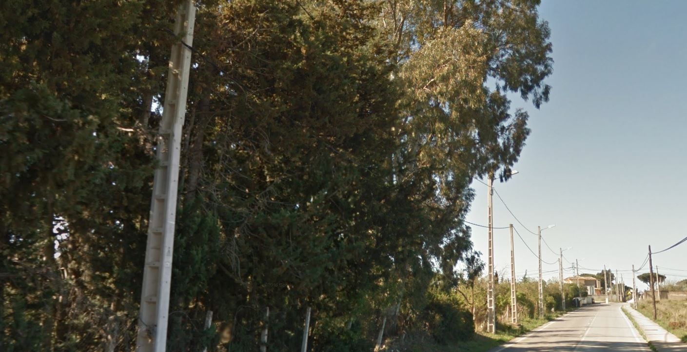 La zona del pinar de los Franceses, en Chiclana, en una imagen de archivo.