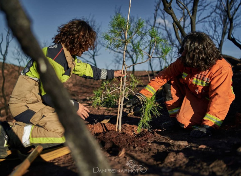 Los bomberos Alejandro Marín y Evaristo J. Pérez, impulsores de #UnÁrbolPorNavidad, en una imagen reciente.