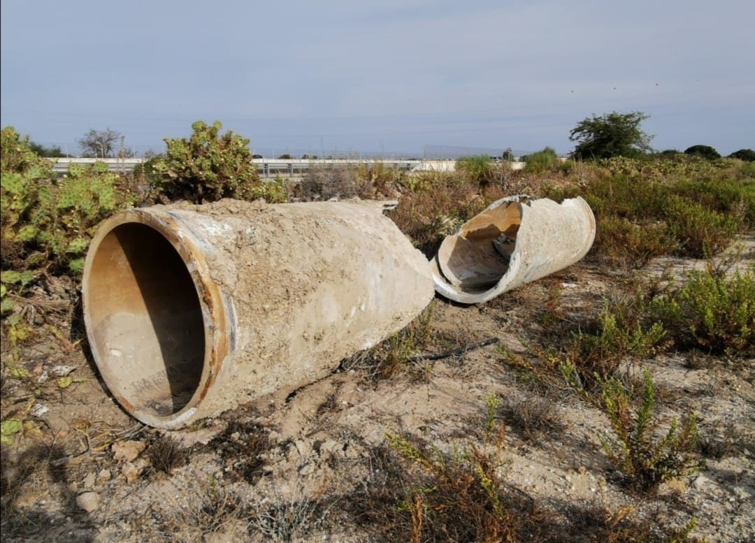 Tubos de amianto abandonados en el parque natural Bahía de Cádiz.