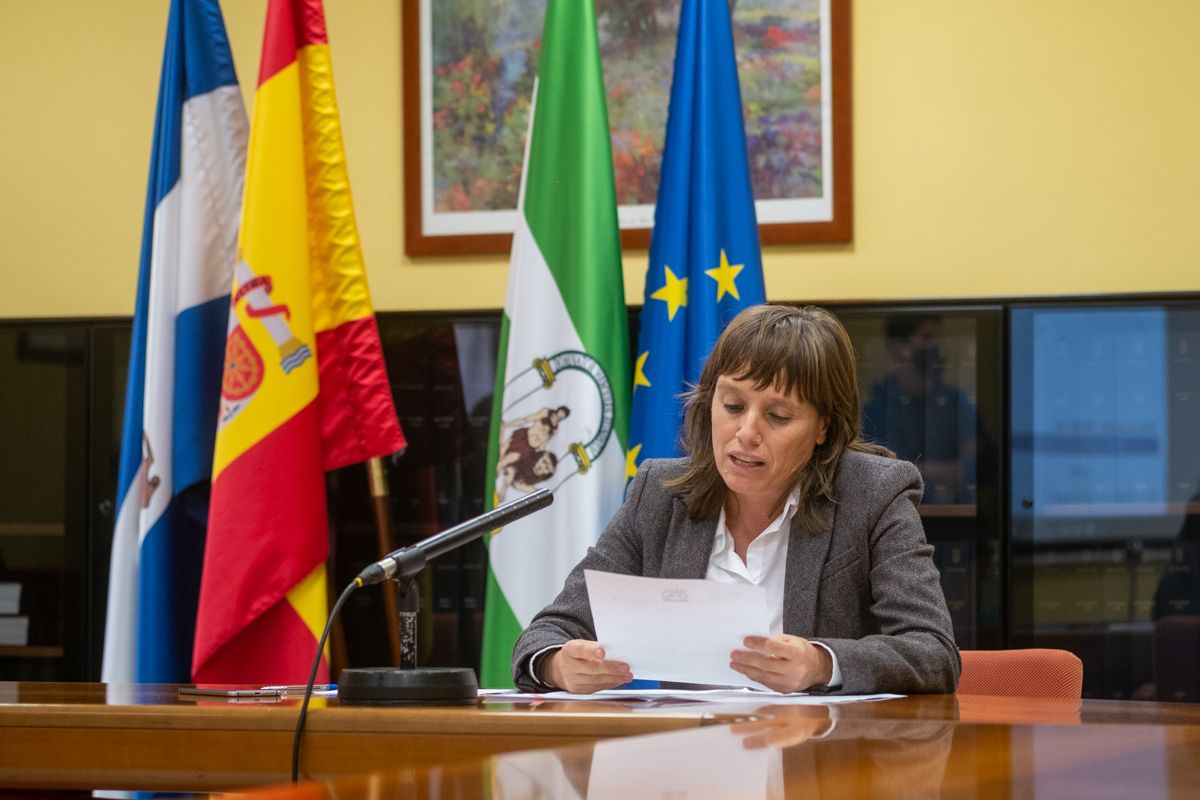 La teniente de alcaldesa Laura Álvarez, en rueda de prensa hablando de la negociación del convenio.