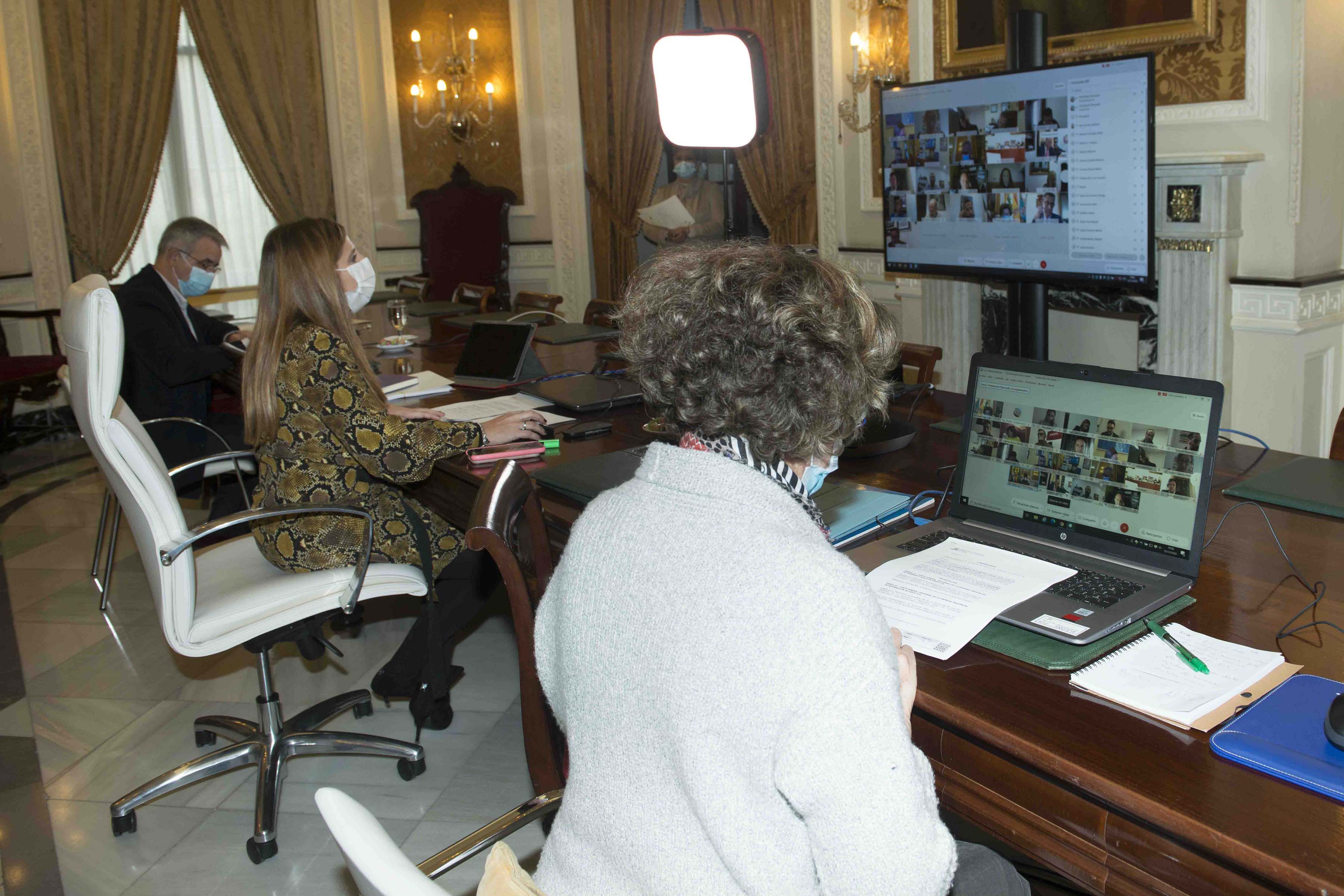 Irene García preside la mesa del pleno virtual de diciembre, este pasado miércoles en la Diputación de Cádiz.