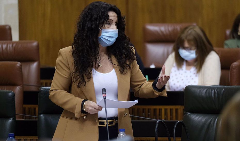 La consejera de Igualdad, durante una comparecencia en el Parlamento.