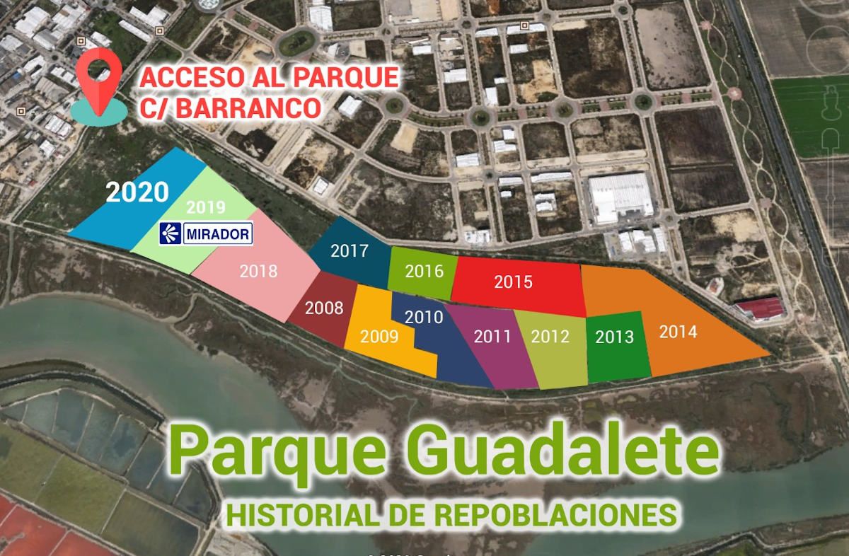 Historial de repoblaciones del parque Guadalete desde 2006.