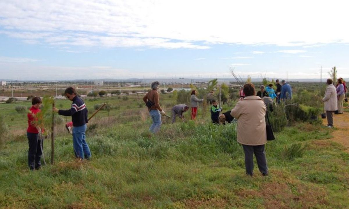 Una de las reforestaciones anuales del parque Guadalete en El Puerto. Una de las reforestaciones anuales del parque Guadalete en El Puerto.