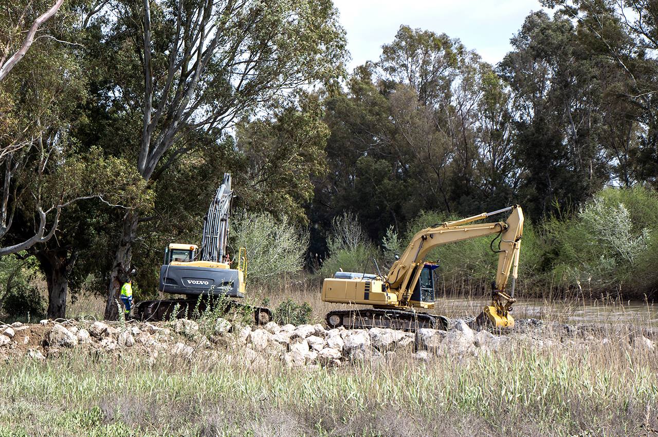 Maquinaria pesada trabajando en la demolición del antiguo azud de La Corta. FOTO: Ecologistas en Acción.