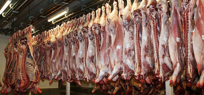 Instalaciones de despiece, en una imagen de archivo. 