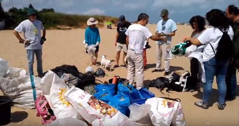 Varios miembros de Ecologistas en Acción limpian la la playa de Bonanza.