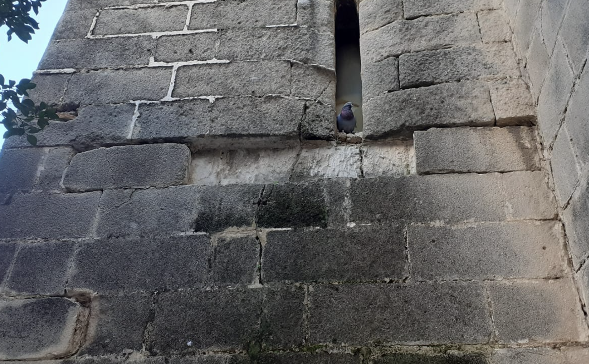 Deterioro implacable de la Torre de la Atalaya, aledaña a San Dionisio en Jerez. Autor: Juan Taboada