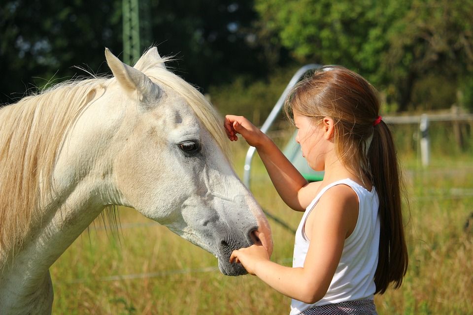 Un caballo y una niña en una imagen de archivo. FOTO: PIXABAY.COM.