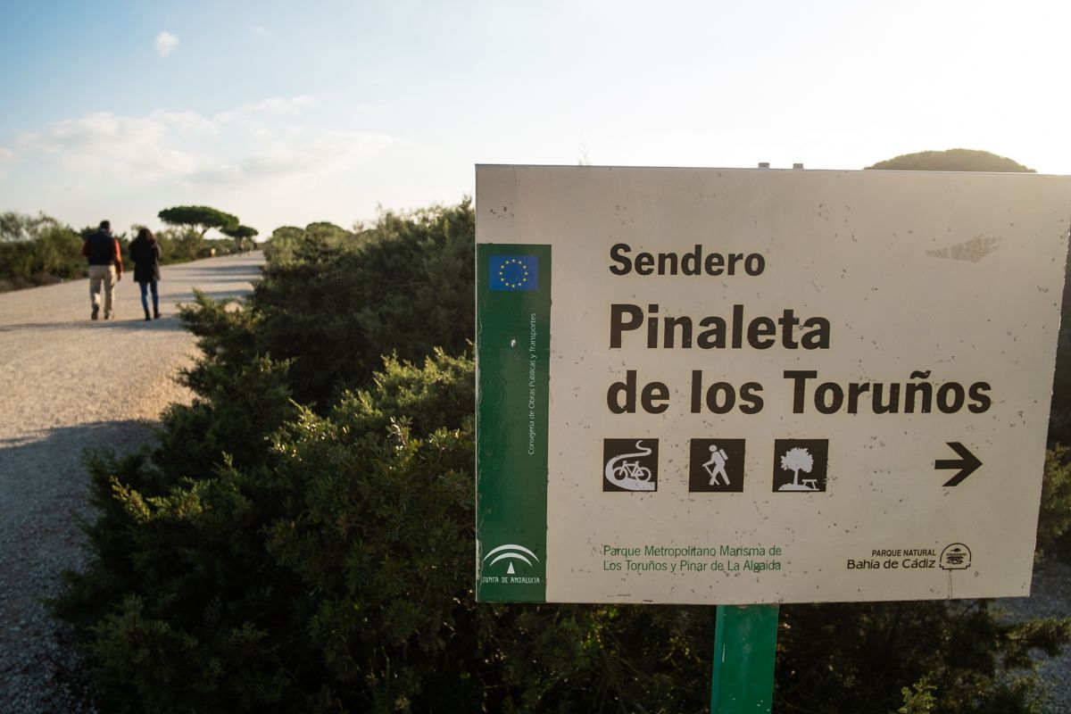 La Junta prorroga la gestión pública del parque de Los Toruños durante un año más.