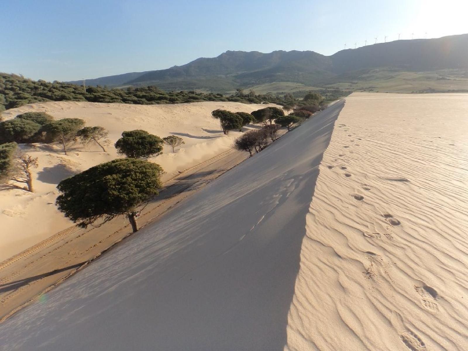 Duna de Valdevaqueros. FOTO: ASOCIACIÓN GADITANA JACOBEA. 