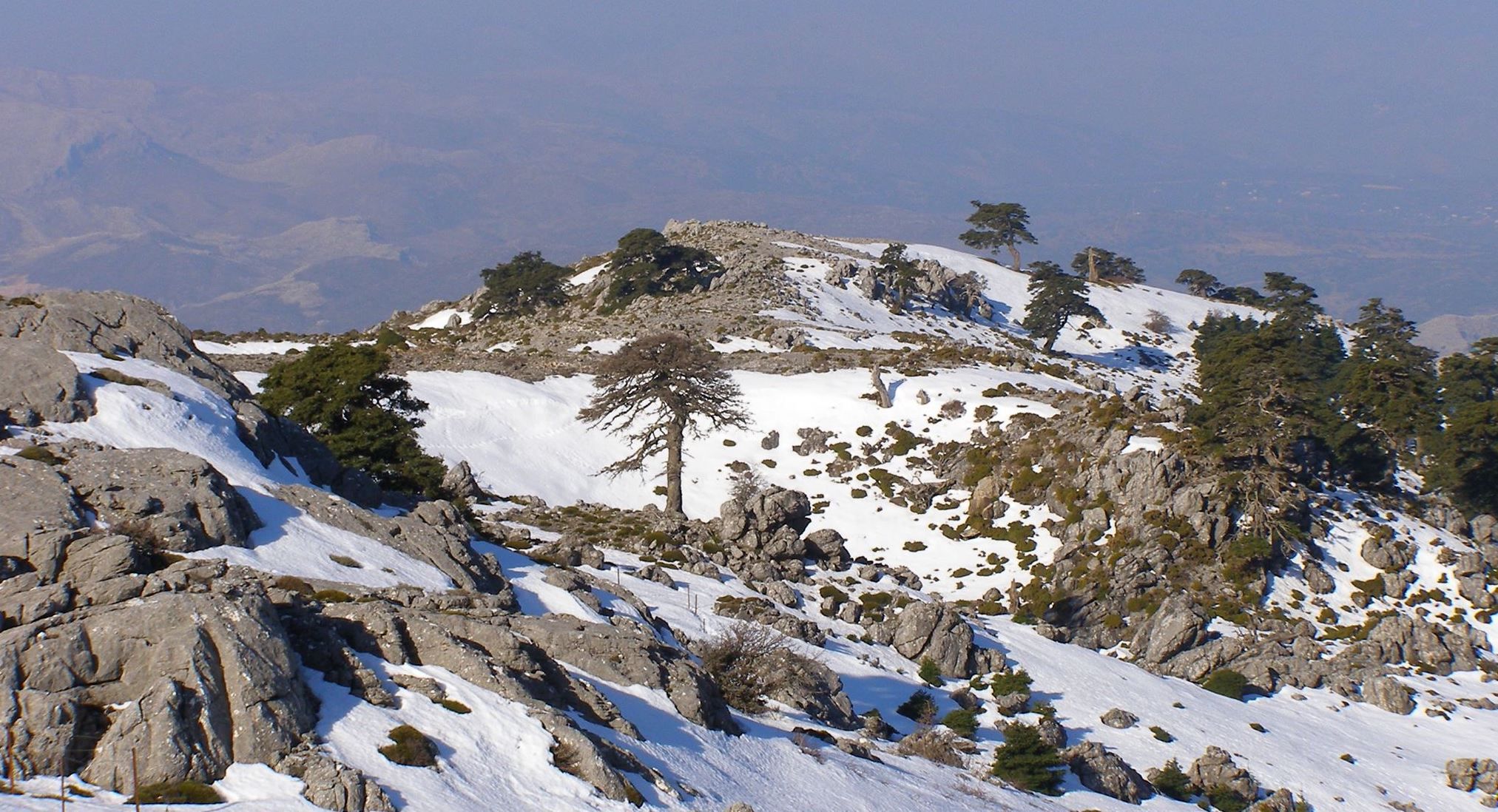 La Sierra de las Nieves, en una imagen reciente.