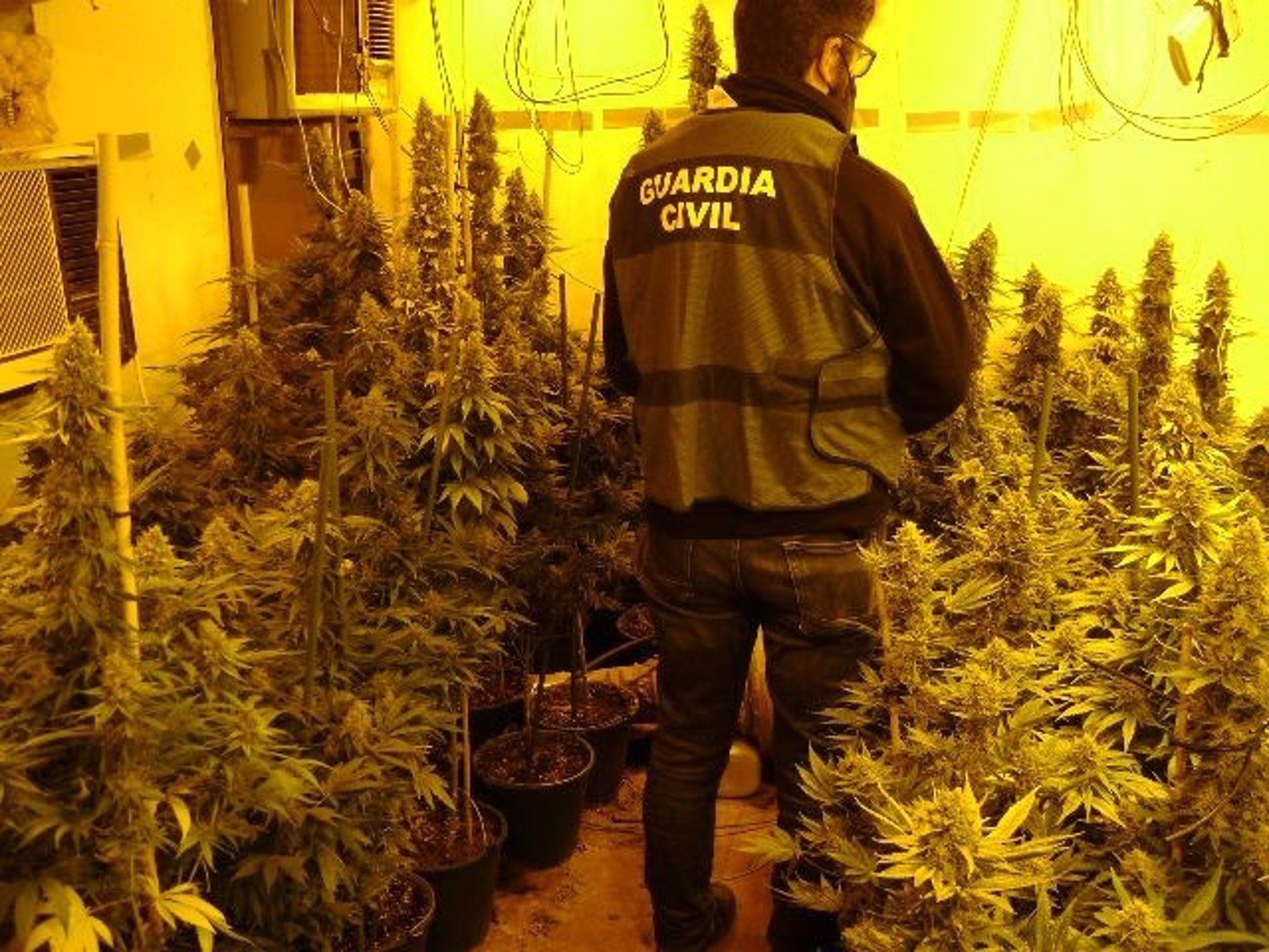 Un agente de la Guardia Civil, en la vivienda con la plantación. FOTO: GC