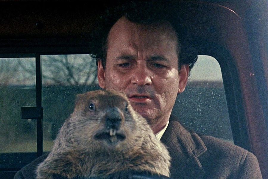 Bill Murray en 'Atrapado en el tiempo', 'El día de la marmota' en su título original, el 2 de febrero que marca cómo será lo que queda de invierno.