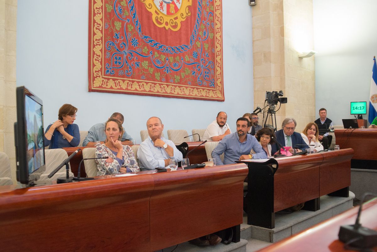 Un plasma, en la bancada de Ganemos, muestra un vídeo en el que hablan ciudadanos. FOTO: MANU GARCÍA.