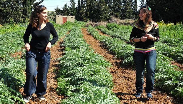 Reverde-4-e1394907070914