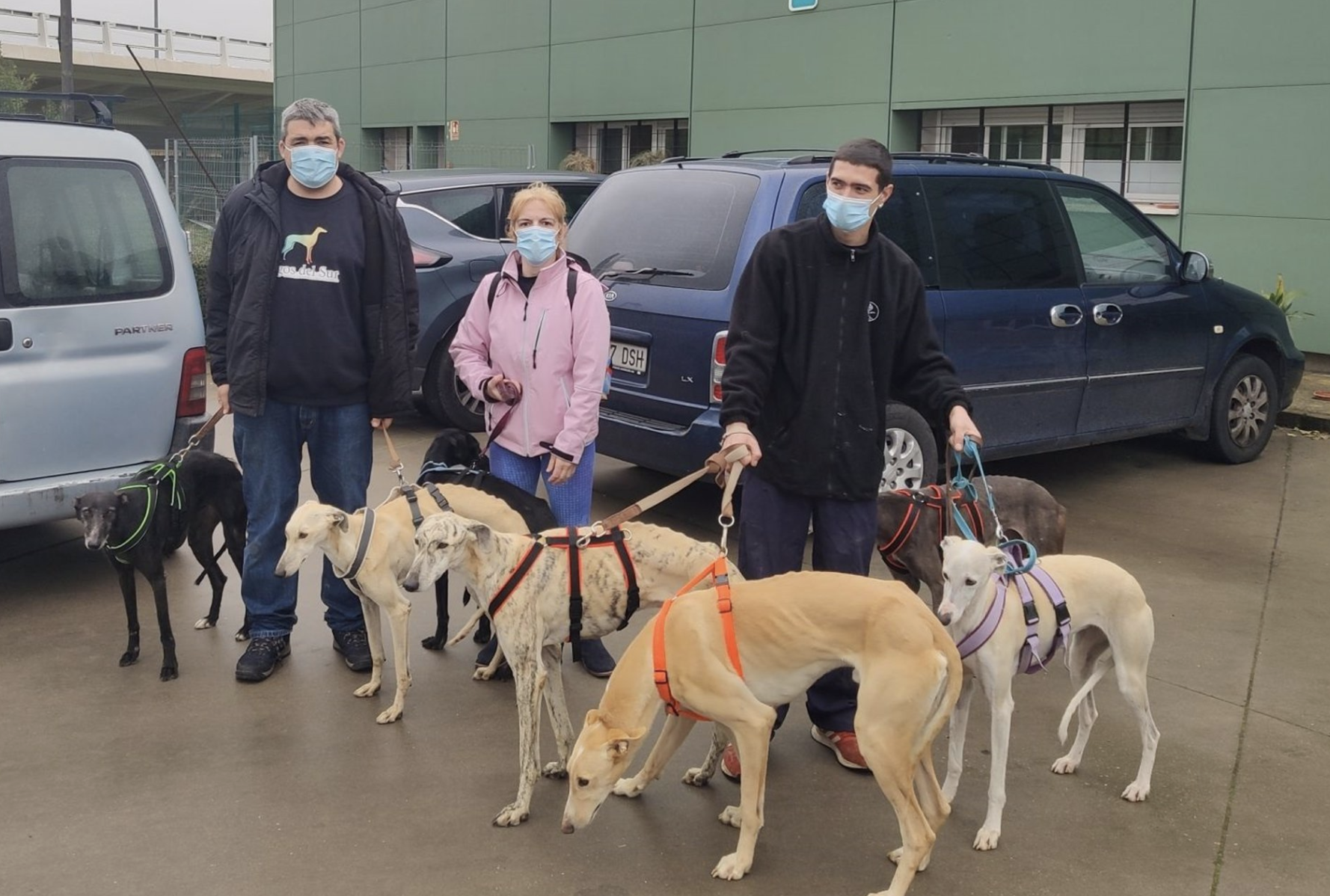 Miembros de Galgos del Sur con algunos animales rescatados. 