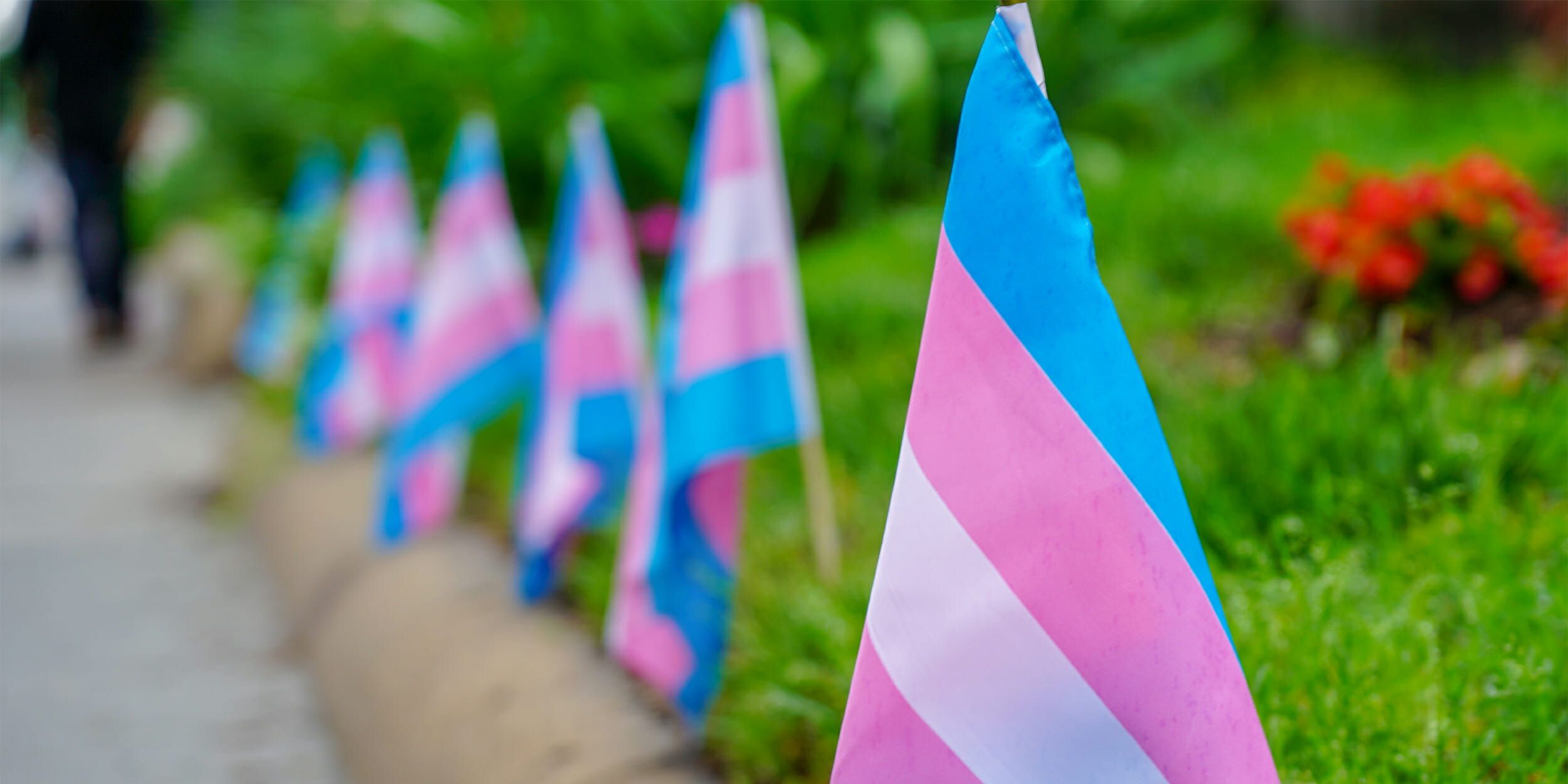 Banderas del orgullo trans, en una imagen de archivo.