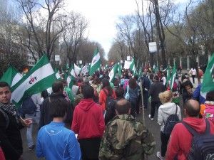 Columna-Andalucía-y-SAT-DSCF2623-300x225