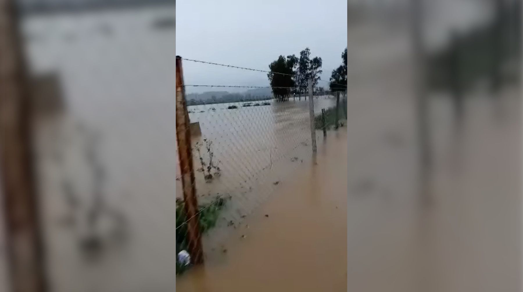 Inundaciones en Los Barrios debido a las lluvias, este domingo.