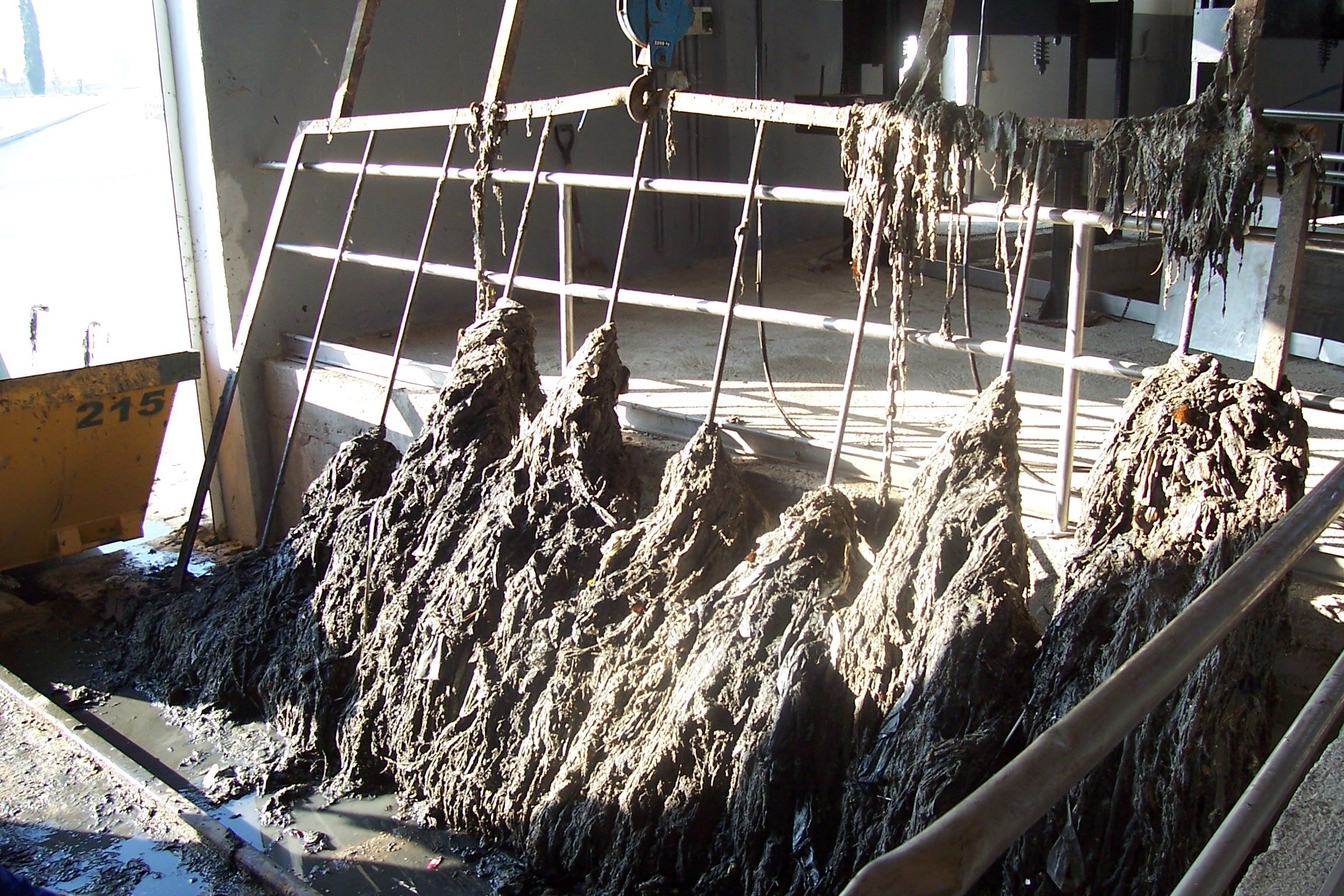 Cientos de toallitas apelmazadas en uno de los filtros de la depuradora de Jerez.