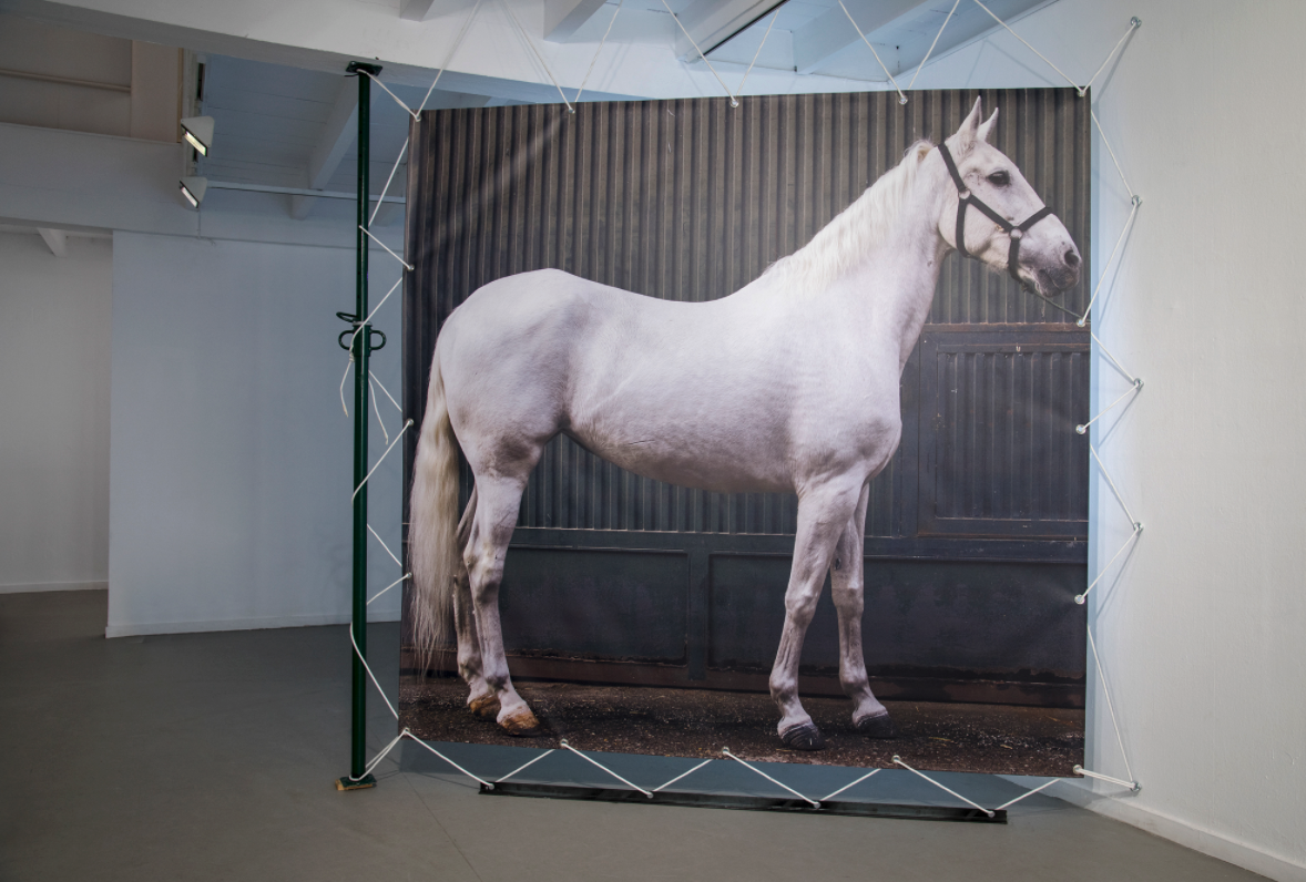 'La posada' y 'Los caballos', el nuevo proyecto de Pedro G. Romero.