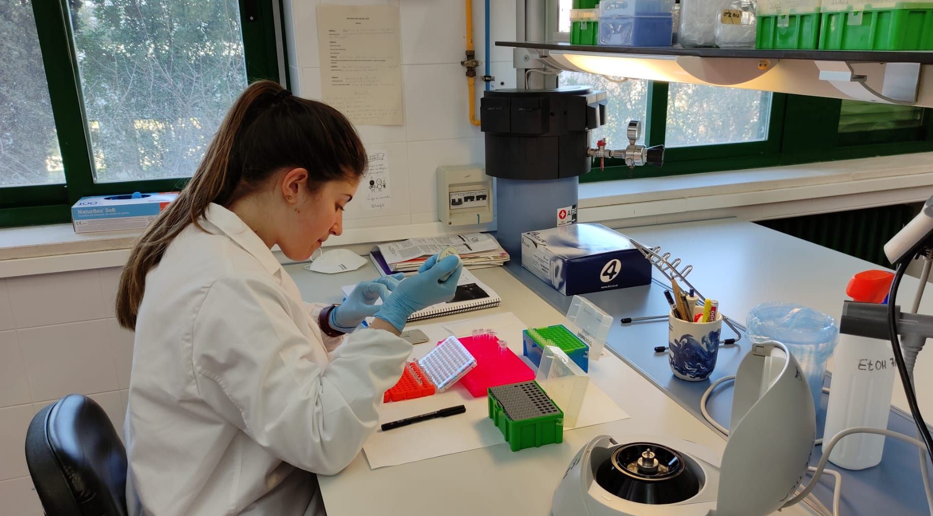 Una investigadora de la UCO, durante el estudio que determina qué desencadena secuelas más graves en pacientes de covid.