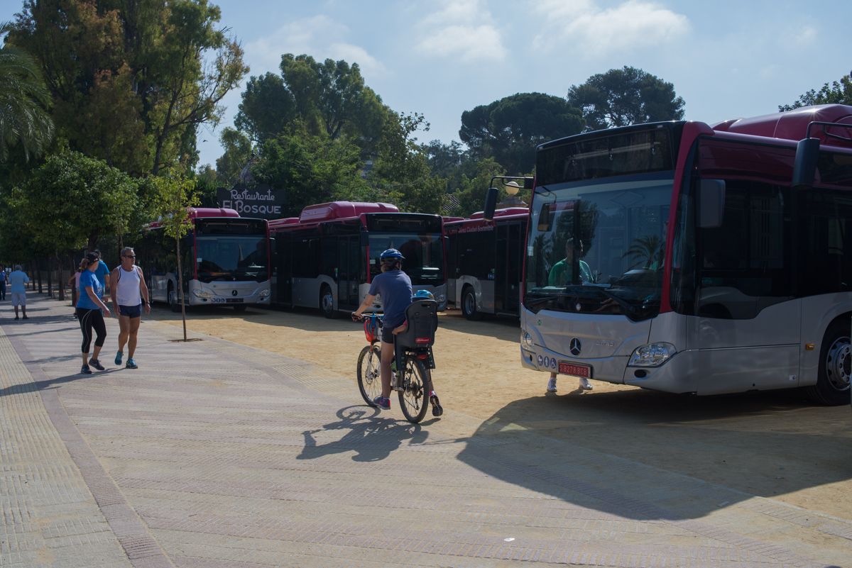 Varios autobuses urbanos de Jerez. FOTO: MANU GARCÍA