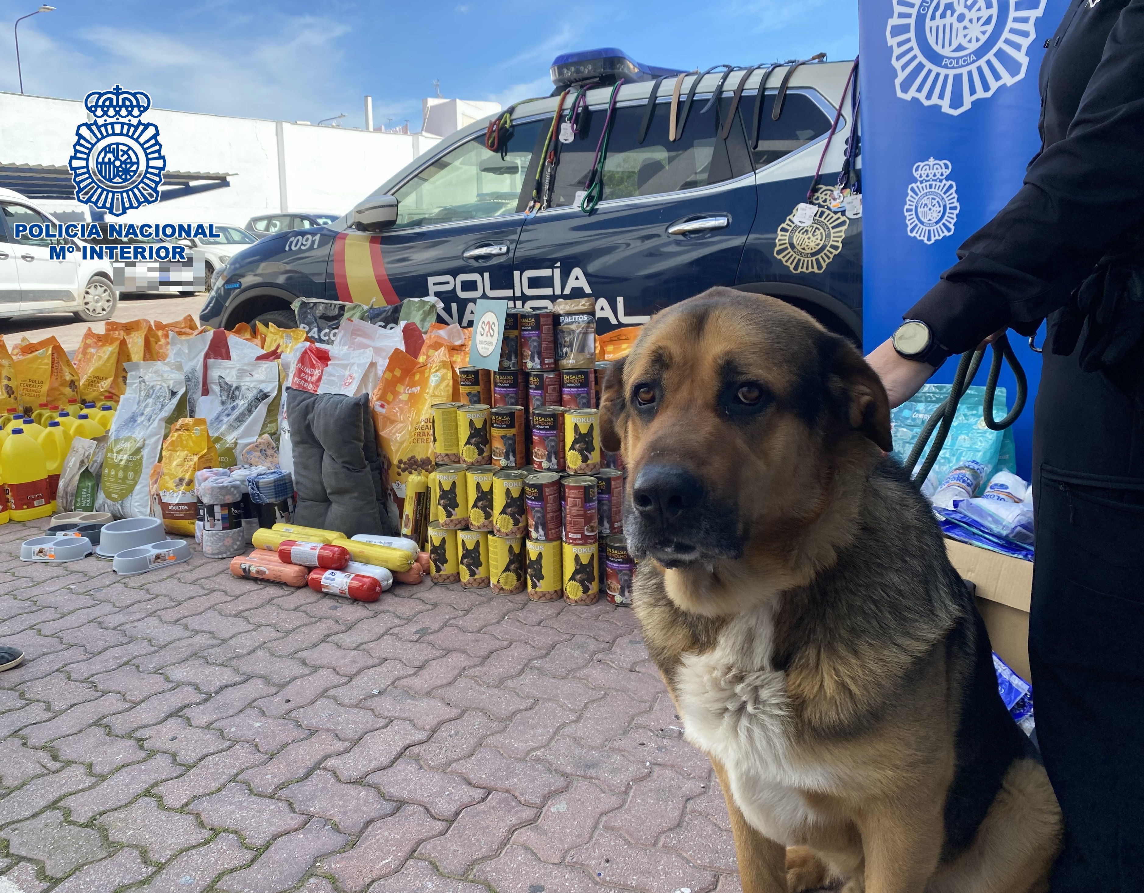 Un perro de la perrera de Los Barrios, con la comida donada por la Policía Nacional.
