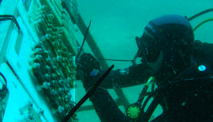 Un investigador, trabajando bajo el agua. FOTO: UCA