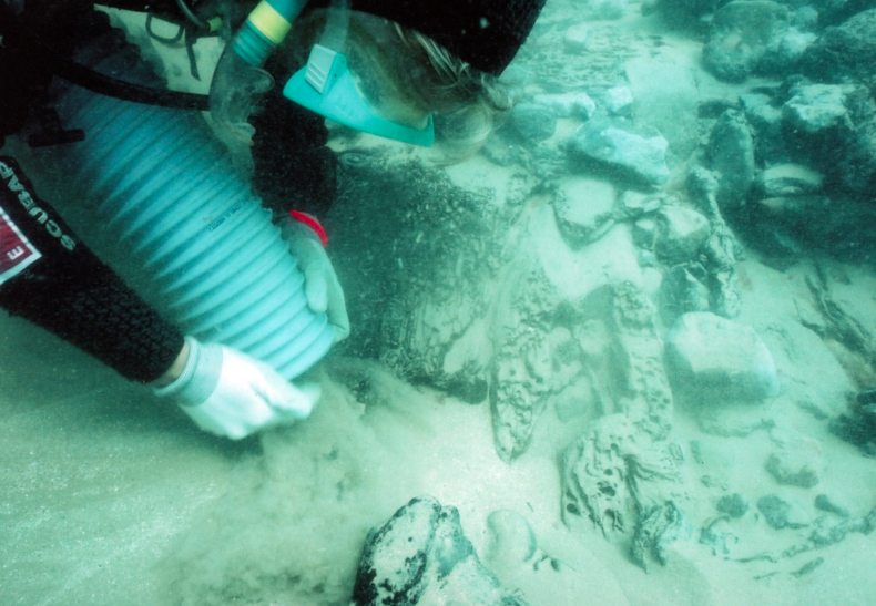 Trabajos en aguas de la Bahía de Cádiz, en una imagen de archivo.