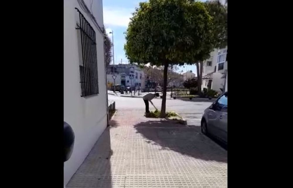 Una vecina adecenta los parterres de su calle en la barrida de Sudamérica de El Puerto.