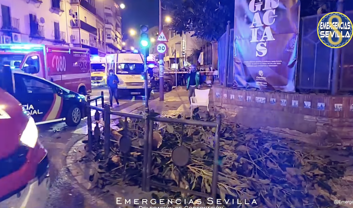 Zona en la que cayó la enorme rama de ficus, en Triana. EMERGENCIAS SEVILLA