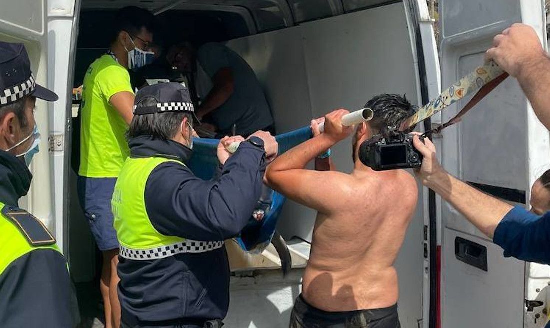 El traslado del delfín en Málaga, en una imagen de Medios Acuáticos.