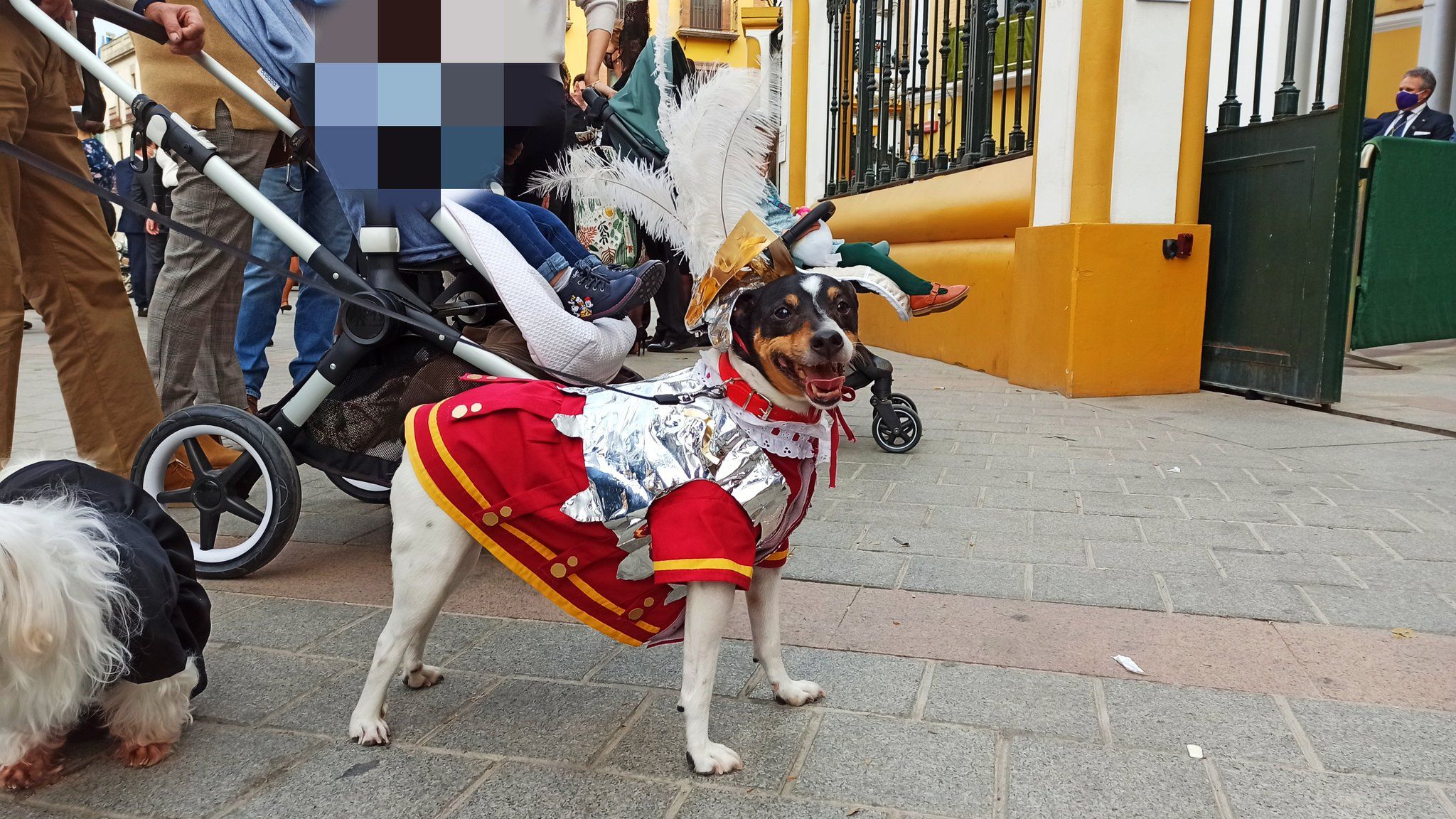 El perro 'armado' en el entorno de la Macarena.