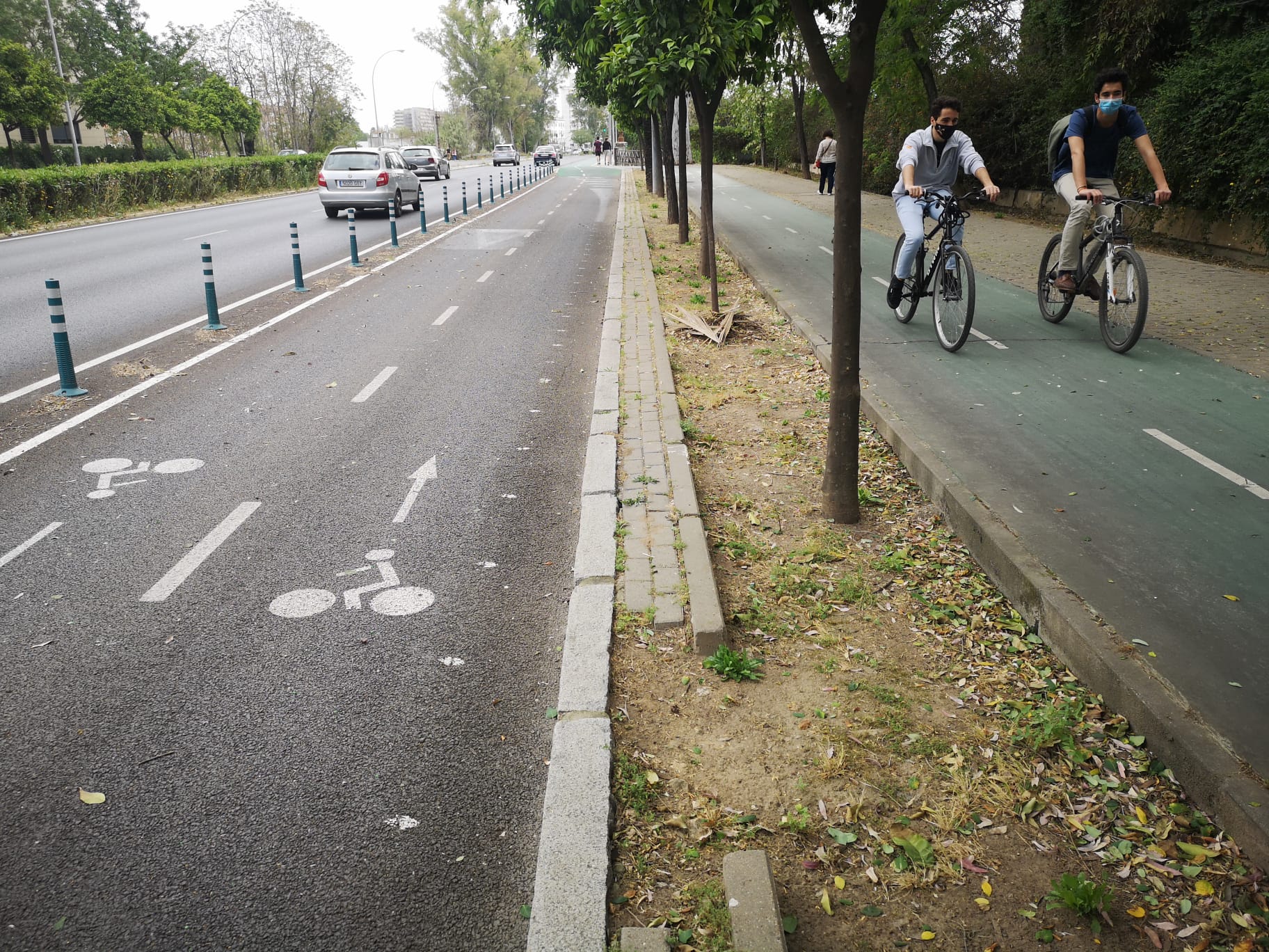 Tramo de bicarril bici en la avenida de la Palmera de Sevilla.