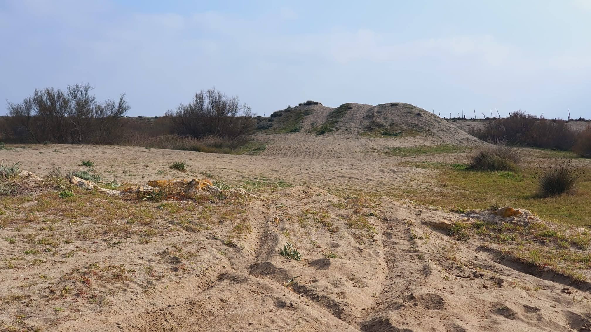 Restos arqueológicos encontrados en la desembocadura del río Guadalquitón, en San Roque.