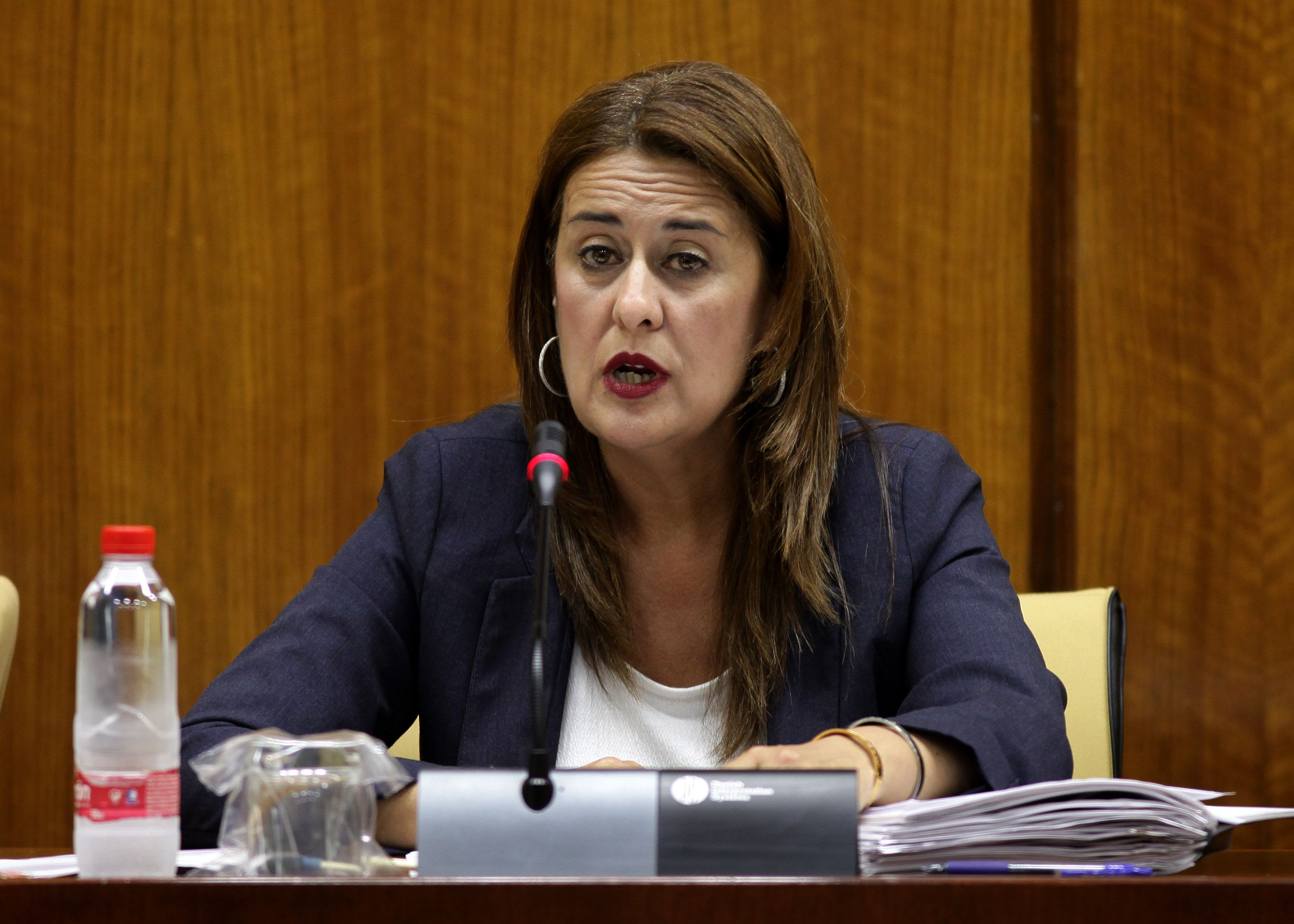 Sonia Gaya, exconsejera de Educación de la Junta y número dos de los socialistas en la última lista sevillana.