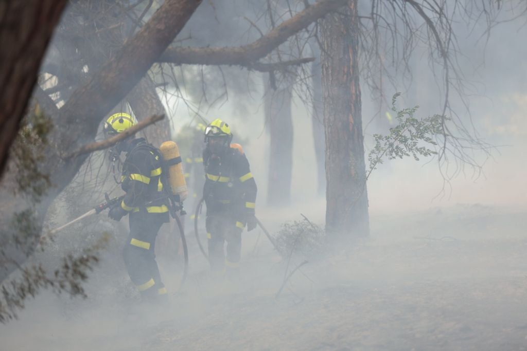 Bomberos luchan contra el incendio forestal de la manifestación de Airbus.