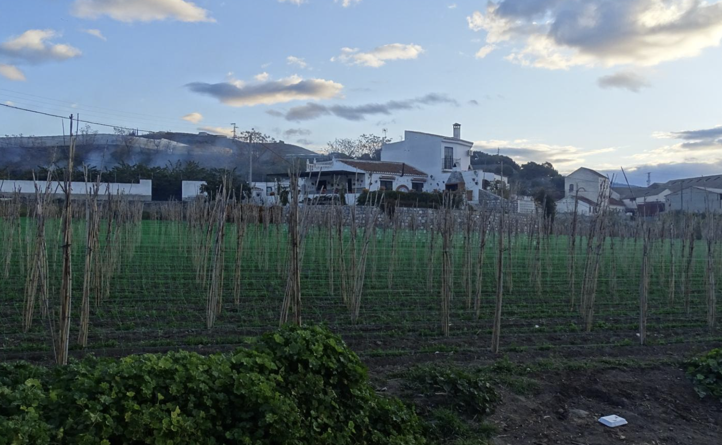 Zona del Camino de la Pataura, en Motril, donde se ha producido el crimen, en una imagen de archivo.