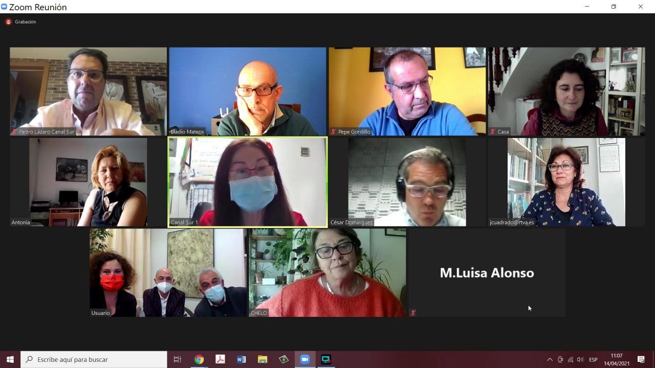 Reunión telemática del nuevo Consejo Profesional de la RTVA.