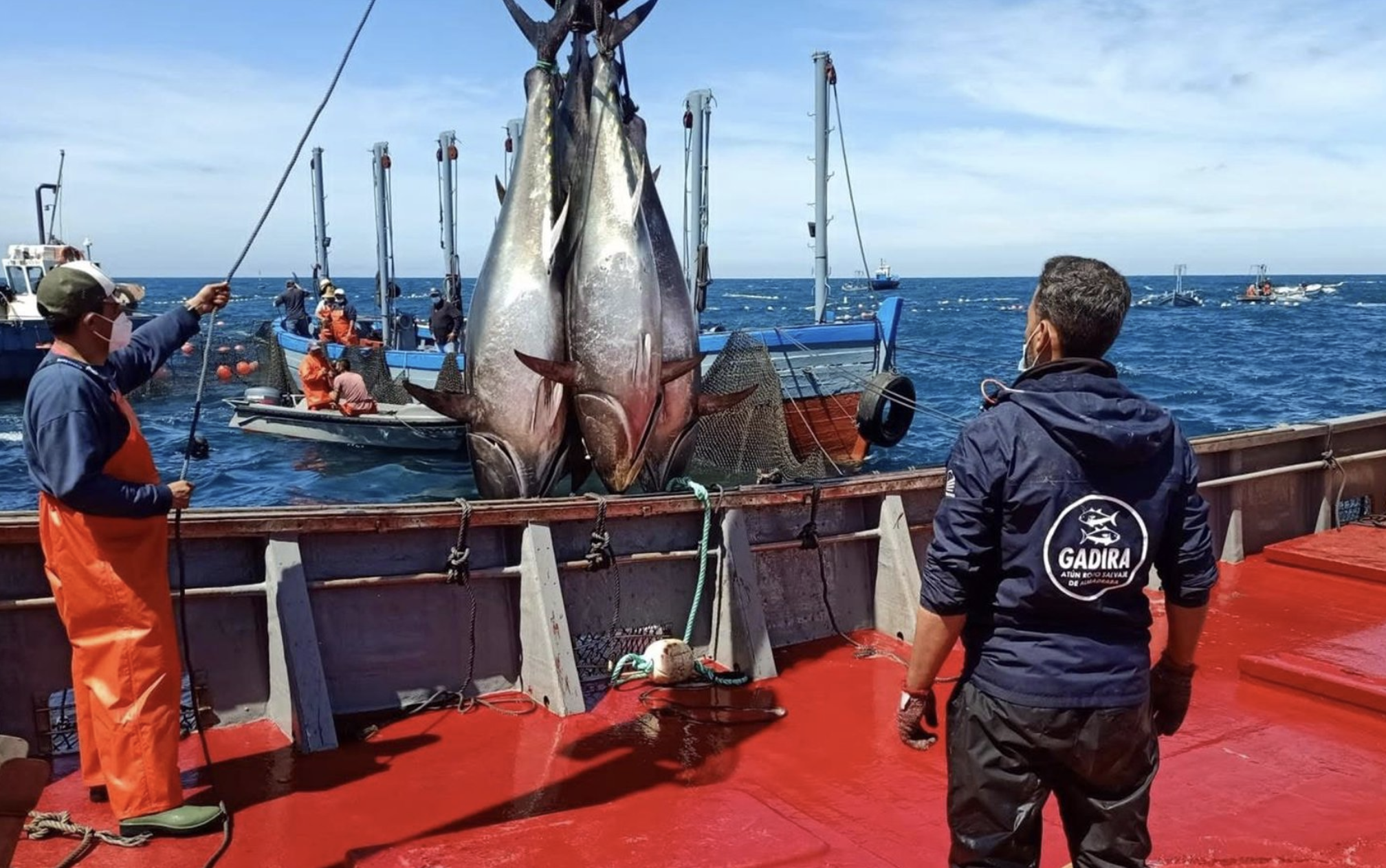 Primera 'levantá' de 2021 en Conil.