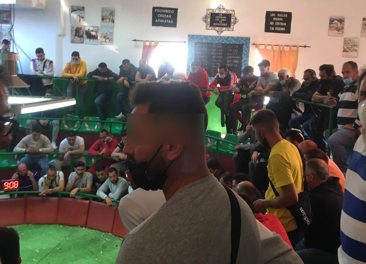 Reñidero de gallos en Villamartín.