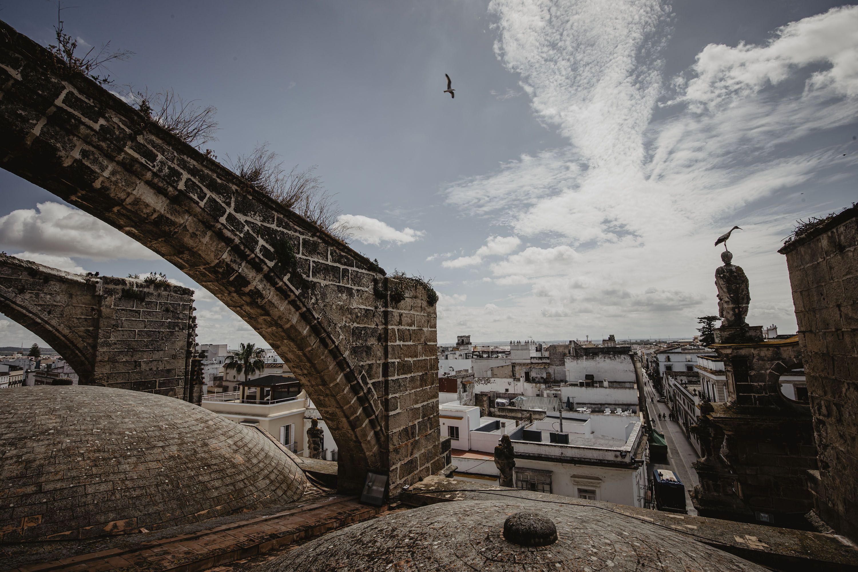 Restos de maleza que crecen entre las piedras. Restos de maleza que crecen entre las piedras.