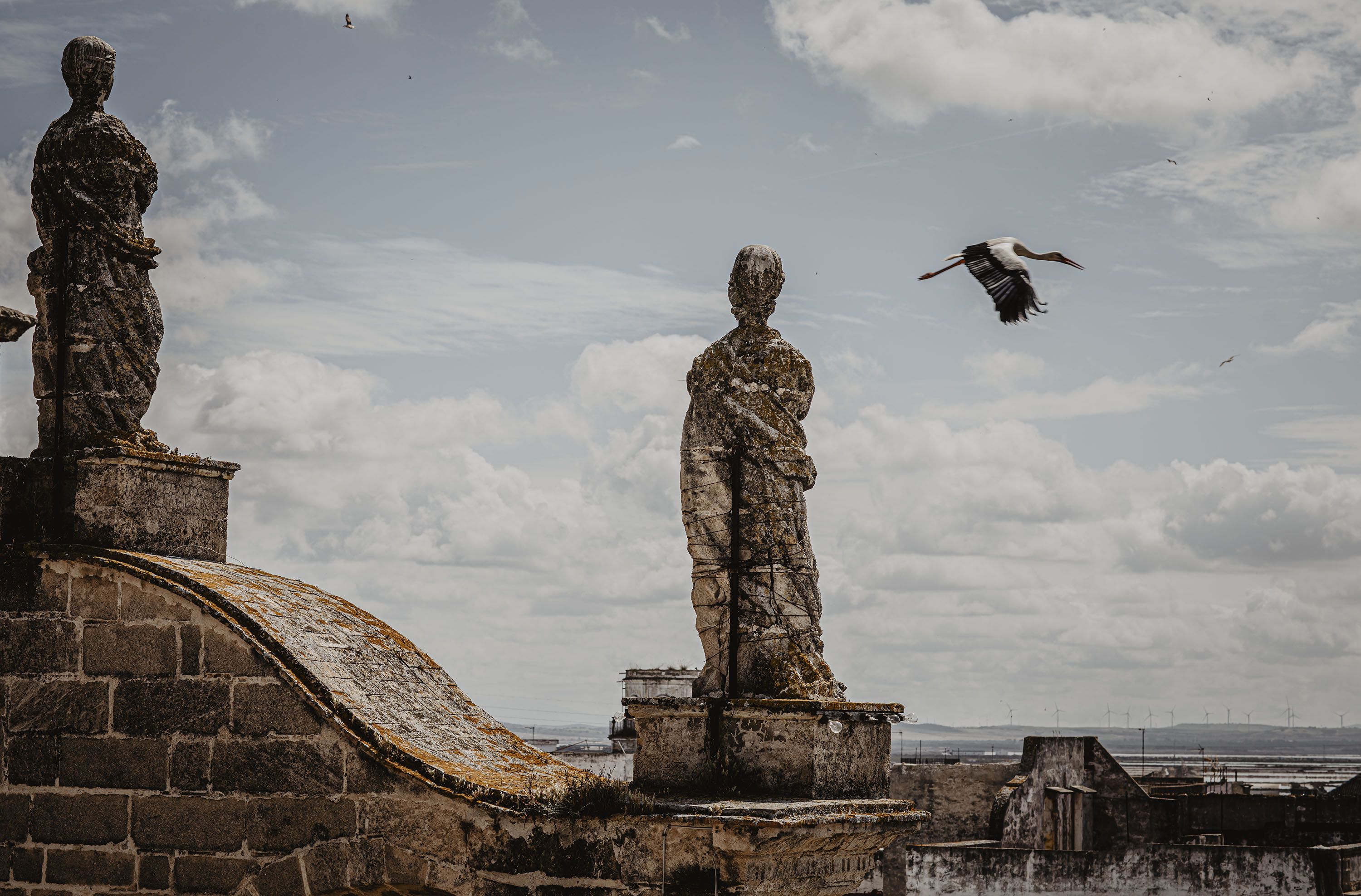 Una gaviota pasa sobre una de las imágenes que presiden la fachada, con una barra adosada para evitar caídas. Una gaviota pasa sobre una de las imágenes que presiden la fachada, con una barra adosada para evitar caídas.