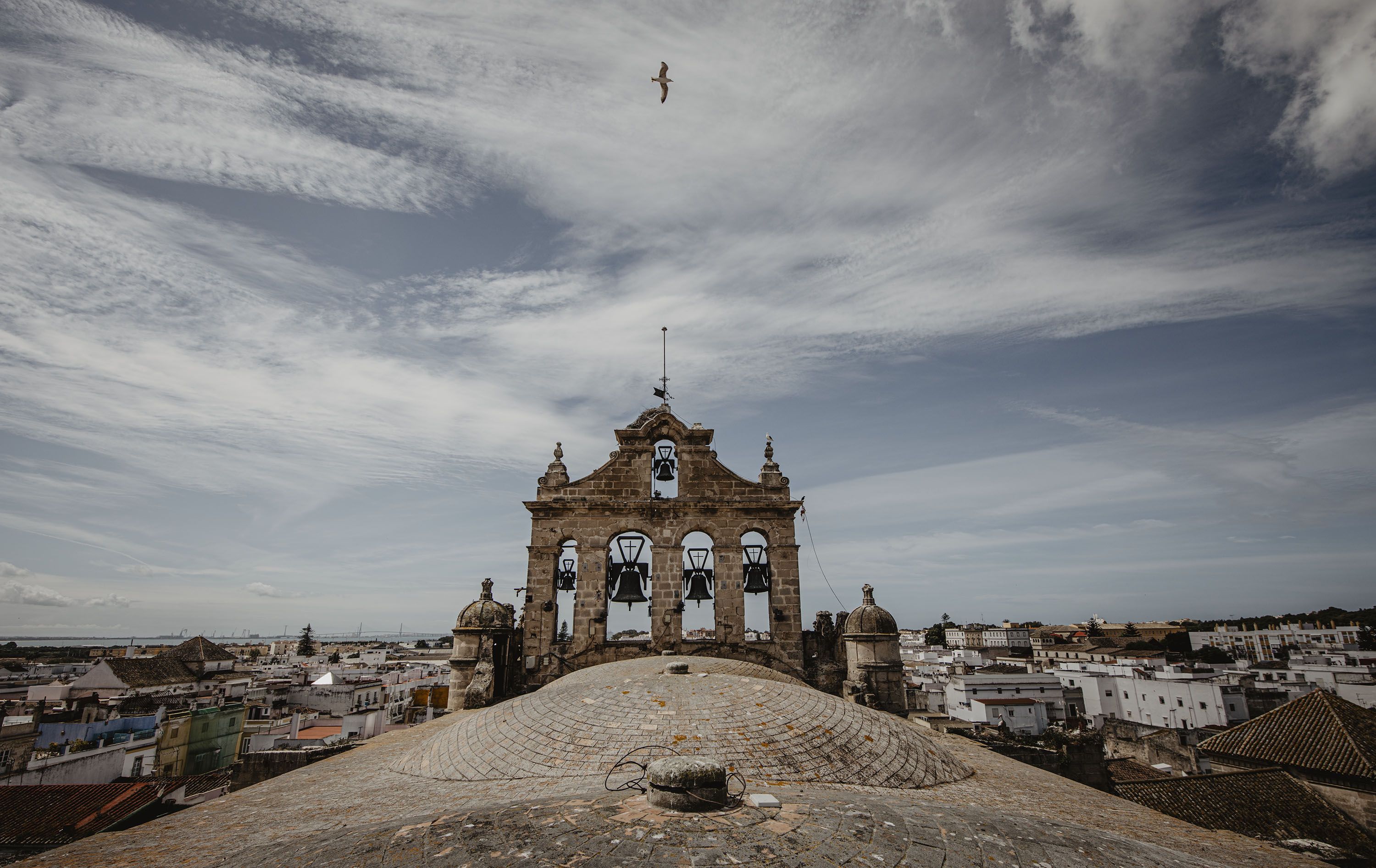 Vista de la planta superior. Vista de la planta superior.