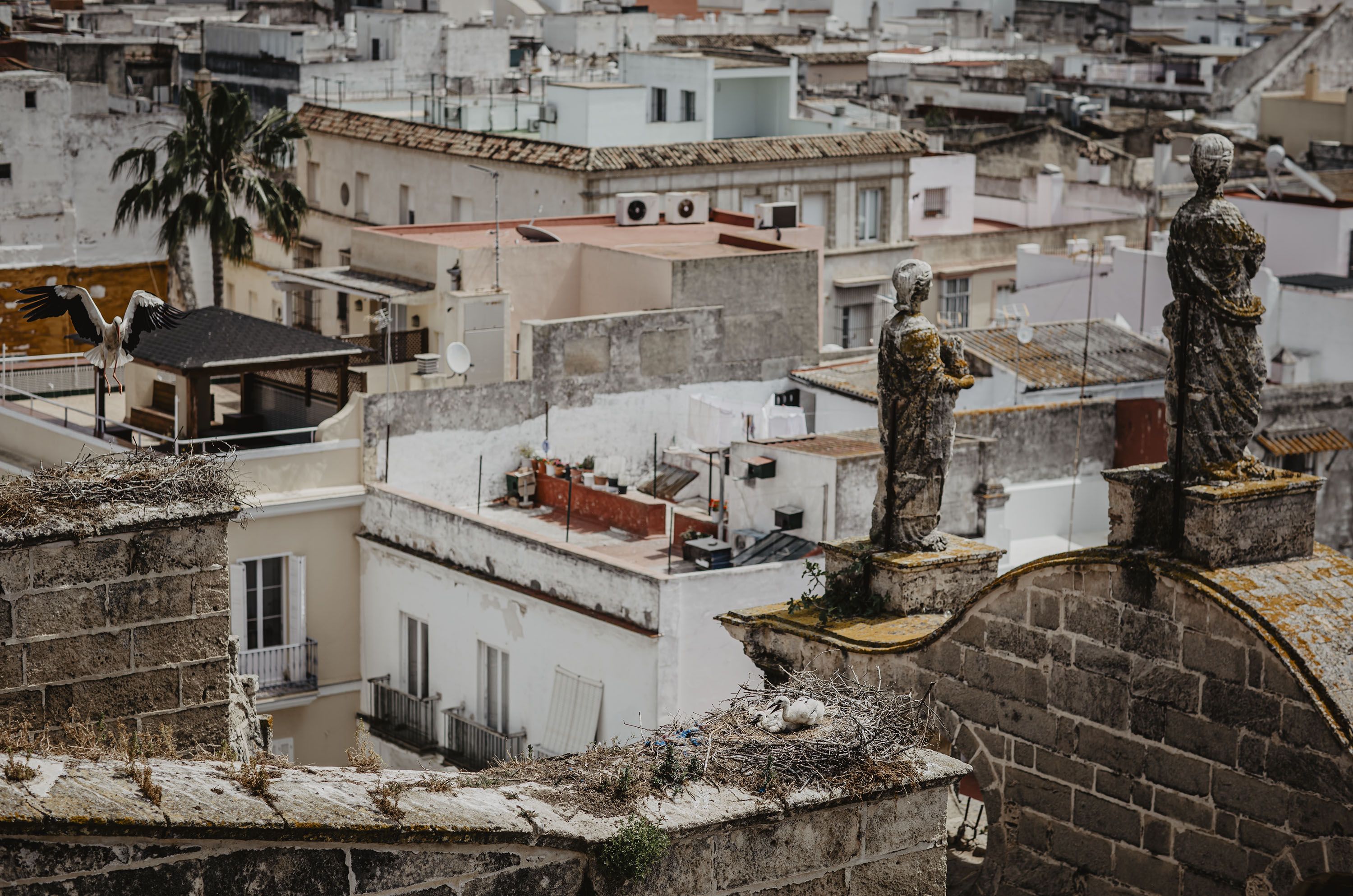 La vista del entorno desde los techos. La vista del entorno desde los techos.